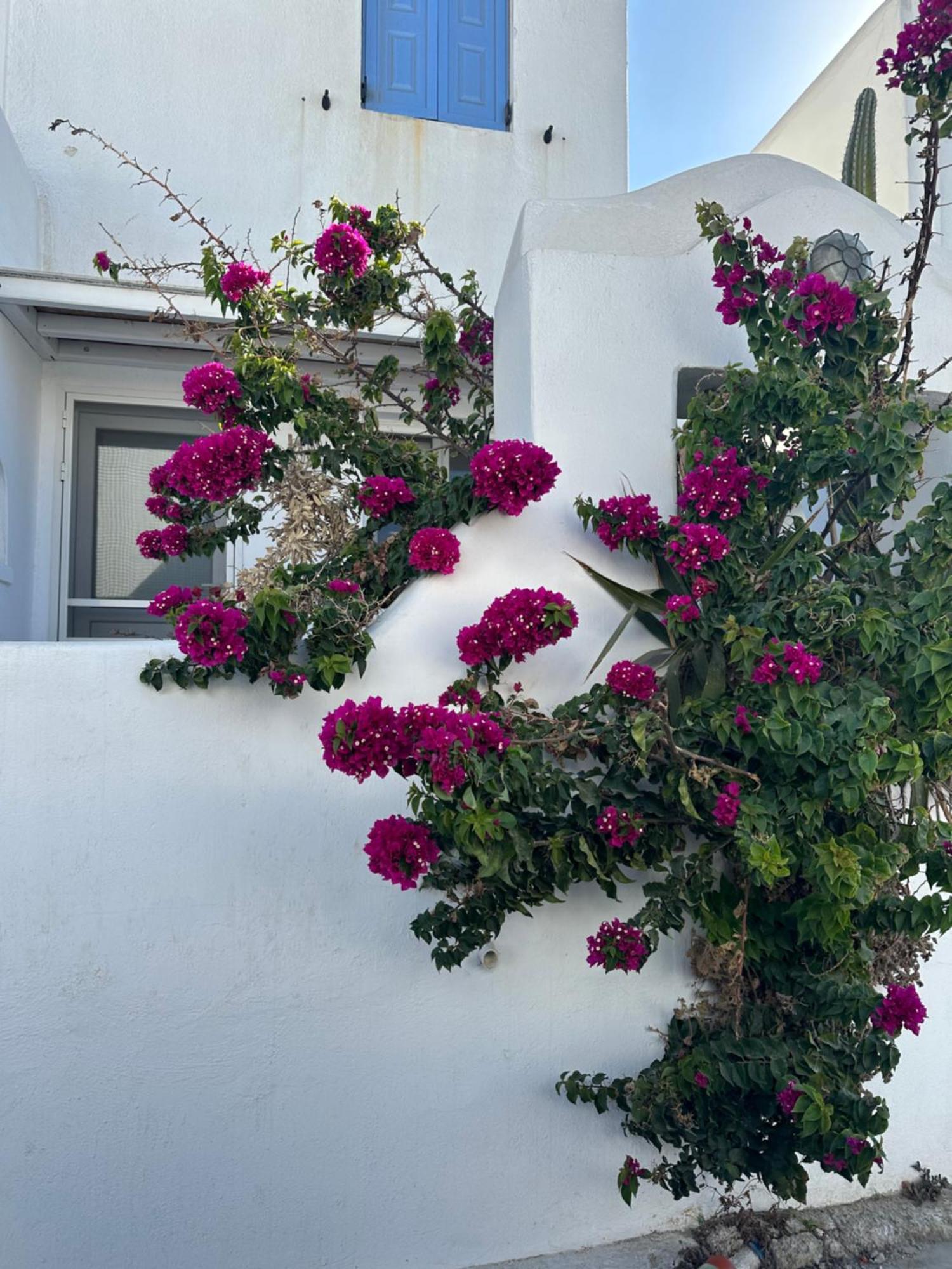 Casaornos Ornos (Mykonos) Exterior foto
