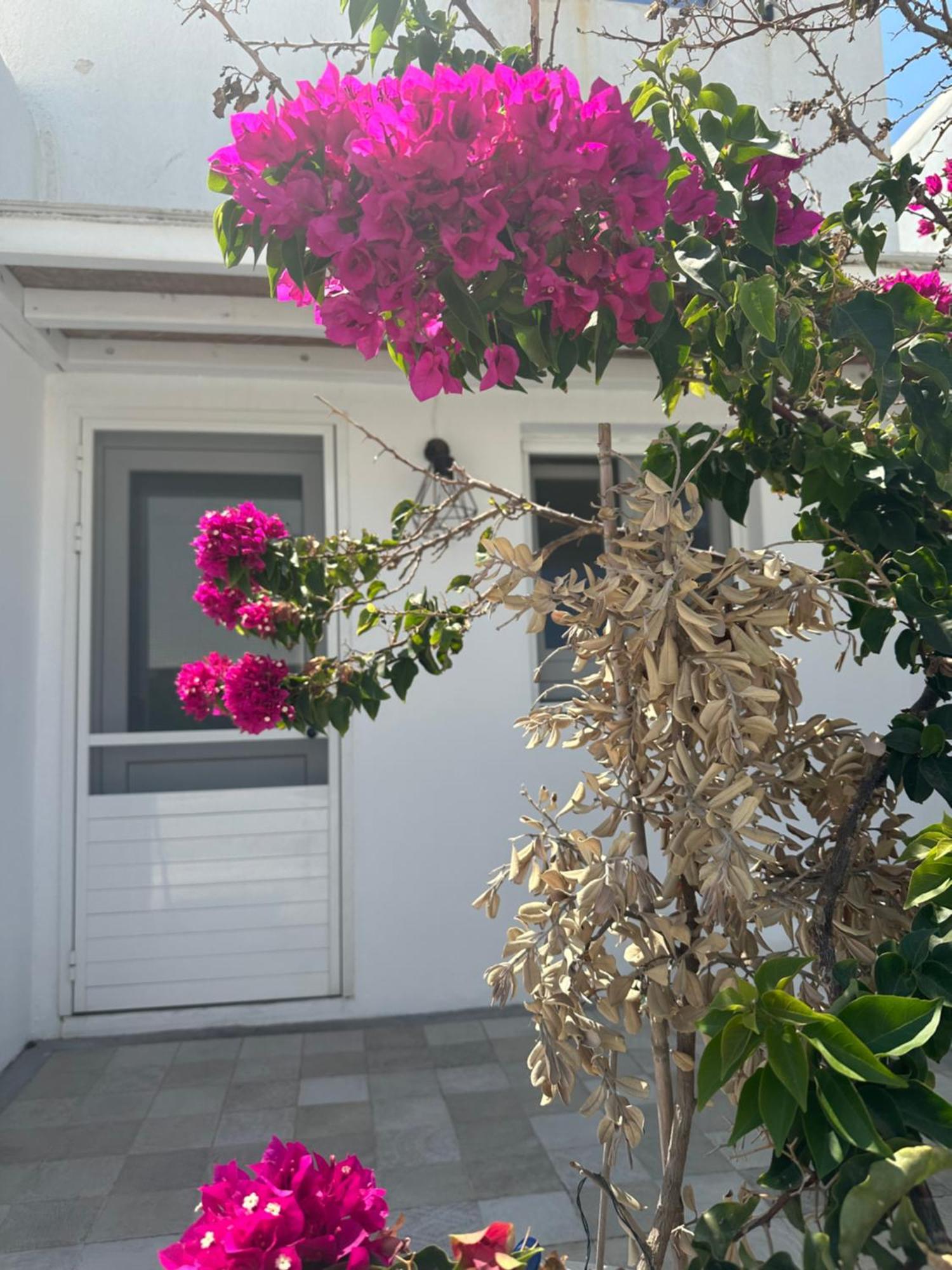 Casaornos Ornos (Mykonos) Exterior foto